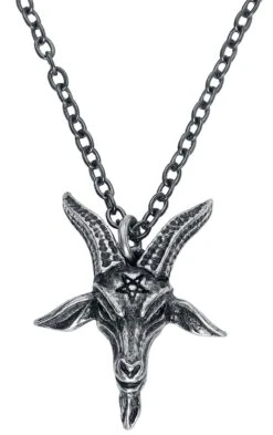 "Templar's Bane Pendant" Necklace Silver-coloured By Alchemy Gothic